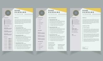 Clean Resume Layout with Cv Template vector