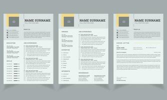 Unique Resume Layout Cv Template Design vector