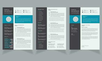 Modern Resume Template with Circle Element vector