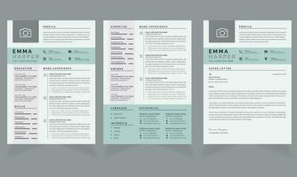 Resume Layout Set with Blue Accents Cv Design vector