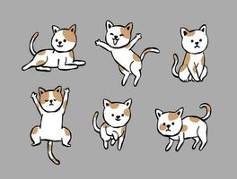 vector set of line drawn cute cat pose