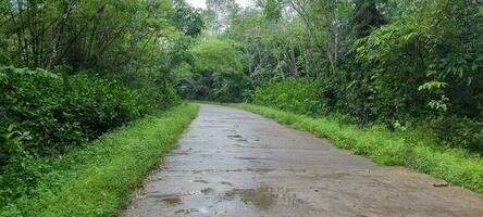 road photo after rain