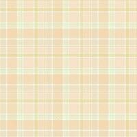 Tartan Plaid Pattern Seamless. Traditional Scottish Checkered Background. Traditional Scottish Woven Fabric. Lumberjack Shirt Flannel Textile. Pattern Tile Swatch Included. vector