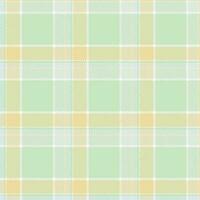 Tartan Seamless Pattern. Plaid Pattern for Scarf, Dress, Skirt, Other Modern Spring Autumn Winter Fashion Textile Design. vector