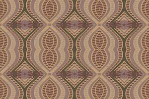 motivo ikat cachemir bordado antecedentes. ikat cheurón geométrico étnico oriental modelo tradicional. ikat azteca estilo resumen diseño para impresión textura,tela,sari,sari,alfombra. vector