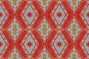 ikat floral cachemir bordado antecedentes. ikat marco geométrico étnico oriental modelo tradicional. ikat azteca estilo resumen diseño para impresión textura,tela,sari,sari,alfombra. vector