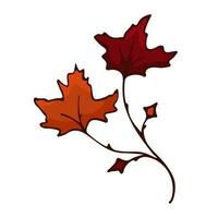 Doodle single autumn colors branch with maple leaf. Twig plant, herb. Vector illustration element.