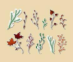 vector stickers Branches evergreen, autumn colors. Twigs maple, aspen, coniferous, herb illustration