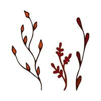 Doodle autumn colors twig branches element. Twig plant, herb. Vector illustration orange and red.