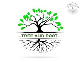 Trees and root with green leaves look beautiful and refreshing. Tree and roots LOGO style. vector