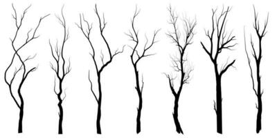 conjunto de siluetas de árbol de rama negra o árboles desnudos. ilustraciones aisladas dibujadas a mano. vector