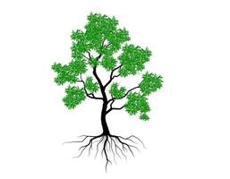 Trees and root with green leaves look beautiful and refreshing. Tree and roots LOGO style. vector