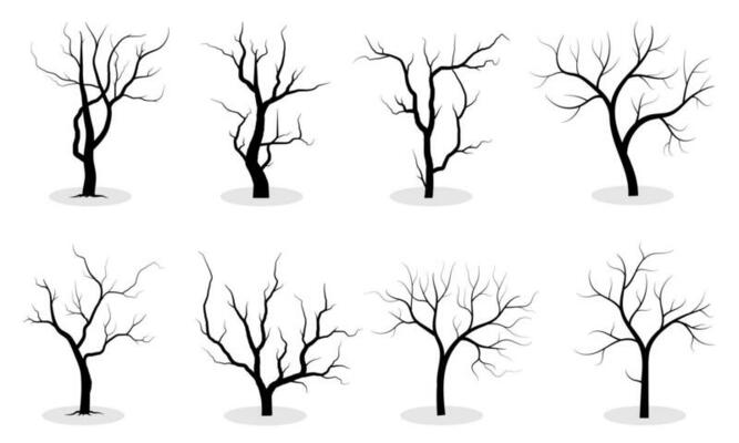 Big Collection Black Tree or Naked trees silhouettes vector. Hand drawn isolated illustrations.