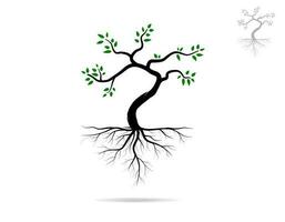 Trees with green leaves look beautiful and refreshing. Tree and roots LOGO style. vector