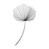 Dandelion icon vector