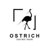 ostrich logo vector template illustration design