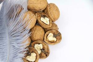 Walnuts in a shell on a white background. Healthy nuts. photo