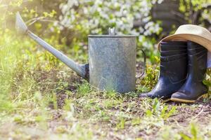 An old iron watering can, a hat, and rubber boots stand in the garden. Gardening and gardening, photo