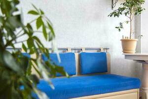 hogar jardín. azul sofá en un brillante interior. en conserva flores elegante interior. el concepto de hogar jardinería. foto