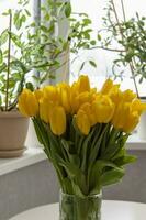 un ramo de flores de Fresco amarillo tulipanes un ramo de flores de tulipanes en el mesa en frente de el ventana con plantas. primavera flores en el interior. el concepto de primavera o día festivo, marzo 8, internacional foto
