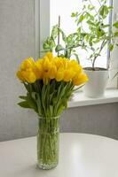 un ramo de flores de Fresco amarillo tulipanes un ramo de flores de tulipanes en el mesa en frente de el ventana con plantas. primavera flores en el interior. el concepto de primavera o día festivo, marzo 8, internacional foto