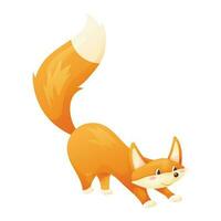 Vector isolated illustration of cartoon cheerful animal. A sly red fox with a fluffy tail prepares to jump or stretches.