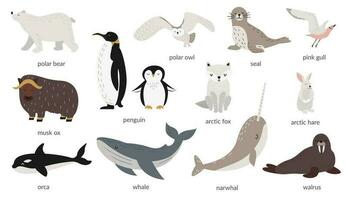 Vector set of polar animals with names. Marine mammals and birds. Whale, narwhal, walrus, polar owl, polar bear, penguins. Vector illustration in flat style. Banner, poster. Isolated objects.