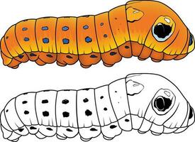 Spicebush swallowtail caterpillar Papilio Troilus orange clouded butterfly vector image