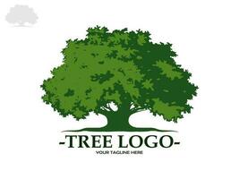 los árboles y las raíces con hojas verdes se ven hermosos y refrescantes. estilo de logotipo de árbol y raíces. vector