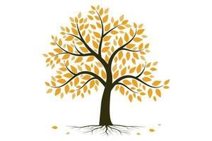 Autumn big tree. Autumn dry leave and nature branch plant vector illustration.