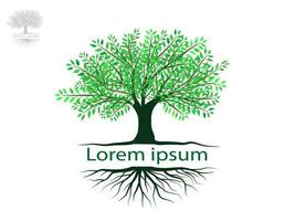 Trees and root with green leaves look beautiful and refreshing. Tree and roots LOGO style. vector