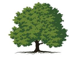 Trees with green leaves look beautiful and refreshing. Tree and roots LOGO style. vector