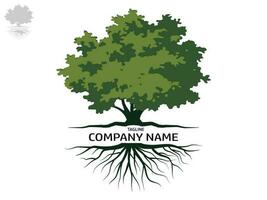 Trees with green leaves look beautiful and refreshing. Tree and roots LOGO style. vector