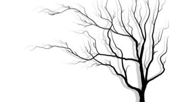 Black branch tree silhouette isolated set on white background, Hand drawn vector. vector