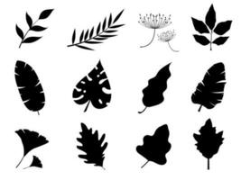 leaves plant black color for nature and white background. vector