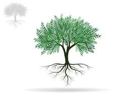 Trees with green leaves look beautiful and refreshing. Tree and roots LOGO style. vector