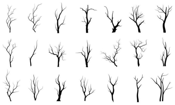 Black Branch Tree or Naked trees silhouettes set. Hand drawn isolated illustrations.
