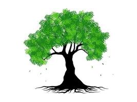 Trees and root with green leaves look beautiful and refreshing. Tree and roots LOGO style. vector