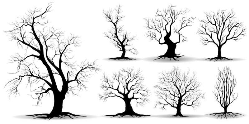 Big Collection Black Tree or Naked trees silhouettes vector. Hand drawn isolated illustrations.