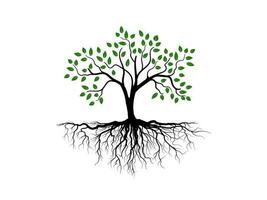 Trees and root with green leaves look beautiful and refreshing. Tree and roots LOGO style. vector