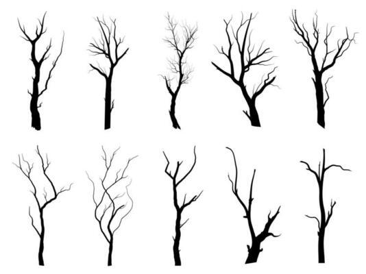 Black Branch Tree or Naked trees silhouettes. Hand drawn isolated illustrations.