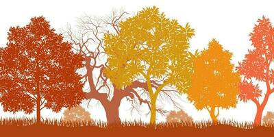 Autumn big tree. Autumn dry leave and nature branch plant vector illustration.