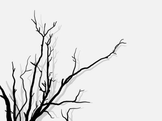 Black Branch Tree or Naked trees silhouettes set. Hand drawn isolated illustrations.