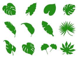 Set leaves plant green color for nature and on white background, Hand drawn vector. vector