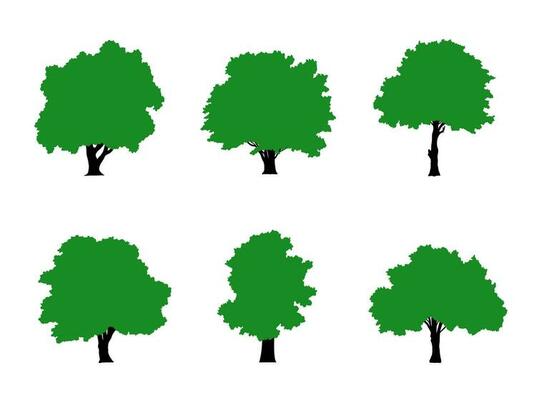 Collection of flat trees Icon. Can be used to illustrate any nature or healthy lifestyle topic.