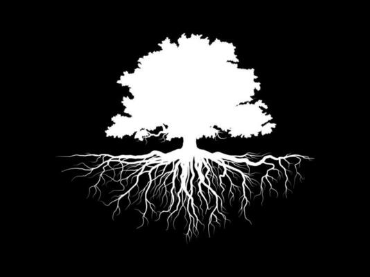 White Tree with leaves look beautiful and refreshing. Tree and roots LOGO style.