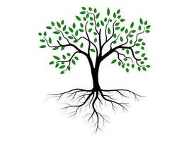 Trees with green leaves look beautiful and refreshing. Tree and roots LOGO style. vector