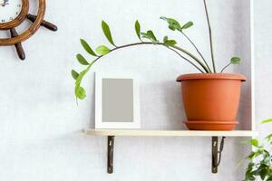 Home garden. Photo frame on the shelf. Potted flowers. Stylish botanical interior. The concept of home gardening.