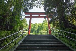 torii portón en japonés templo portón a hakone santuario cerca lago ashi a hakone ciudad, kanagawa prefectura, Japón foto