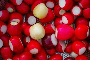 Lots of clean radishes as a background. Yellow and red fresh radishes. photo